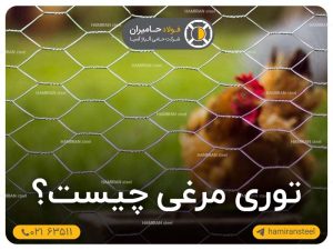 توری مرغی چیست؟