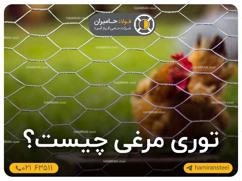 توری مرغی چیست؟