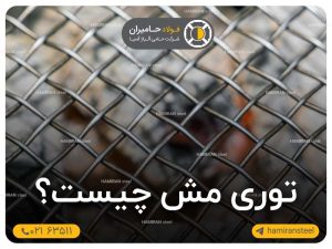 توری مش چیست