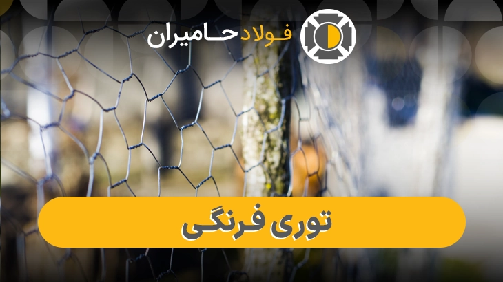 خرید توری فرنگی