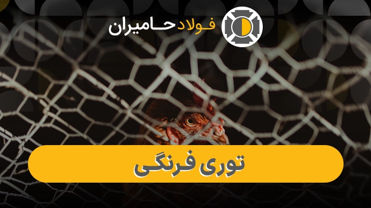 فروش توری فرنگی