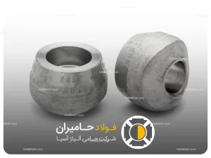 کاربرد ساکولت در صنایع مختلف