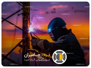 تعریف اسکلت جوشی