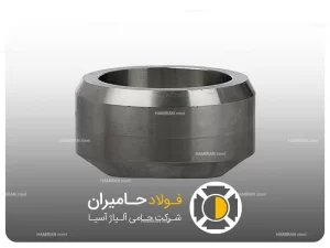 ساختار و نحوه عملکرد ساکولت