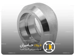 ساختار و نحوه عملکرد ساکولت