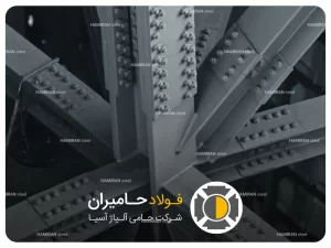تعریف اسکلت پیچ و مهره ای
