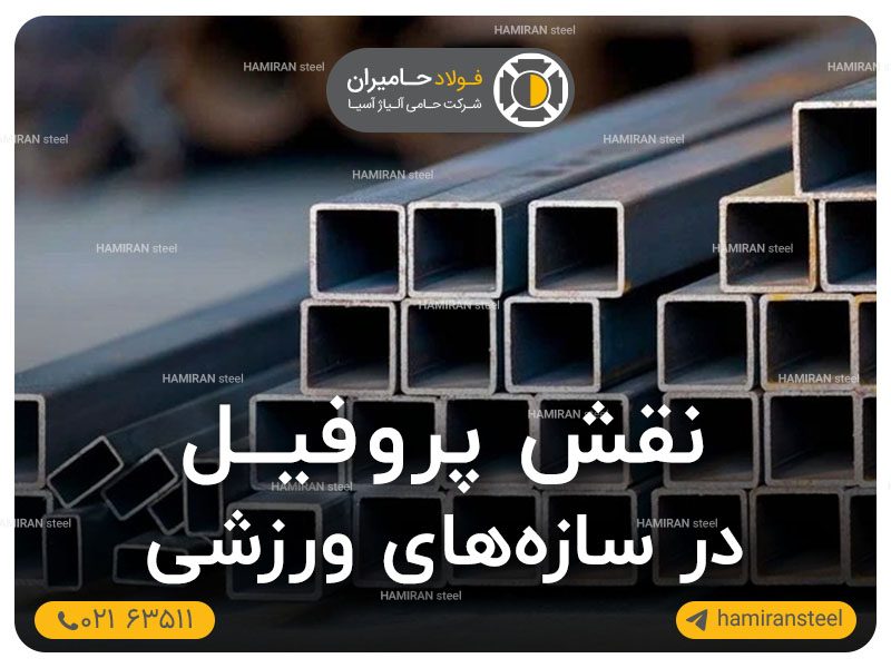 نقش پروفیل در پروژه های ورزشی